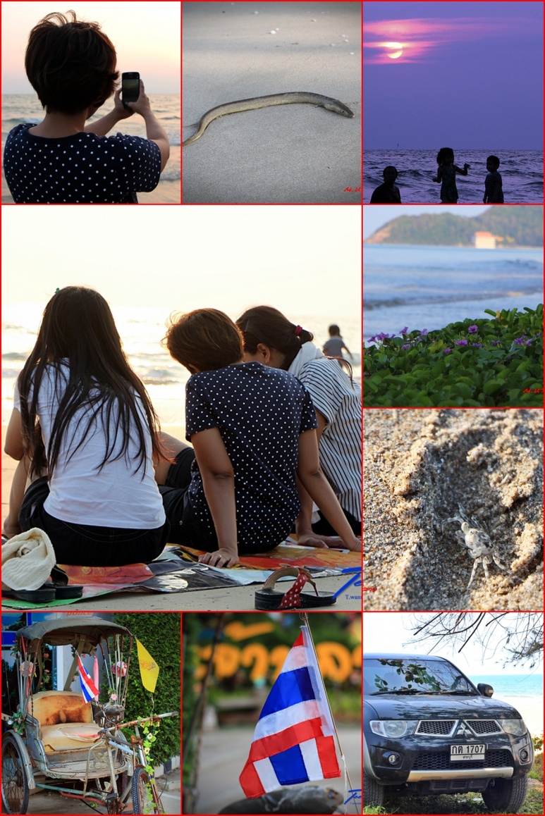 ชื่อ:  IMG_1113R.jpg
ครั้ง: 256
ขนาด:  378.8 กิโลไบต์