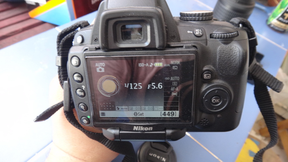 ชื่อ:  DSC01113.JPG
ครั้ง: 400
ขนาด:  154.5 กิโลไบต์