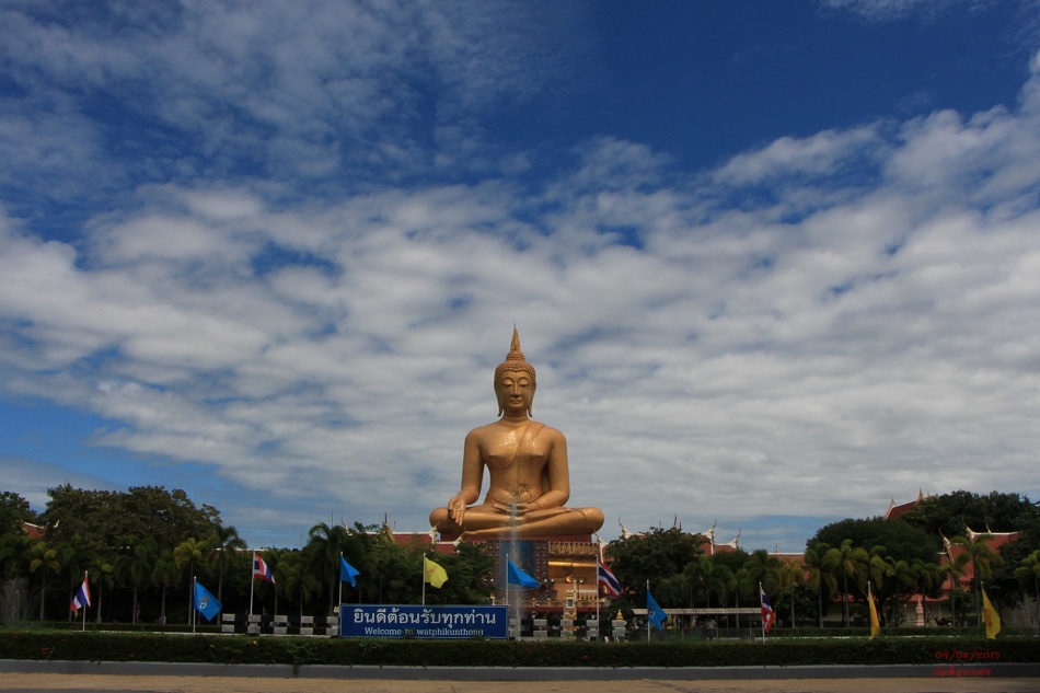 ชื่อ:  IMG_6605.jpg
ครั้ง: 302
ขนาด:  157.0 กิโลไบต์