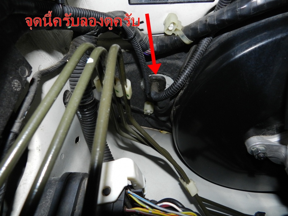 ชื่อ:  DSCN4057.jpg
ครั้ง: 683
ขนาด:  204.6 กิโลไบต์